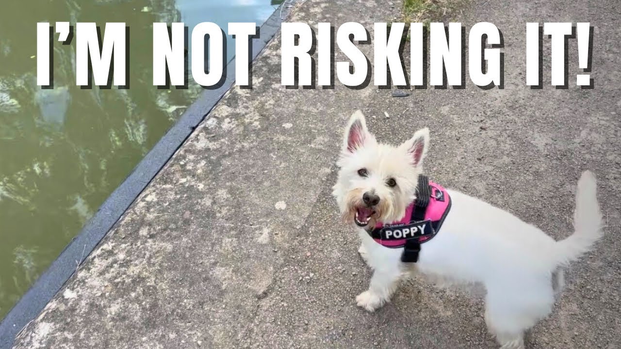 It's All Fun And Games In This Narrowboat Life Ep 98