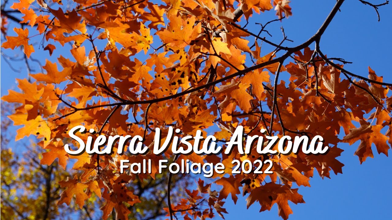 Fall colors in the canyons around Sierra Vista Arizona | Huachuca Mountains