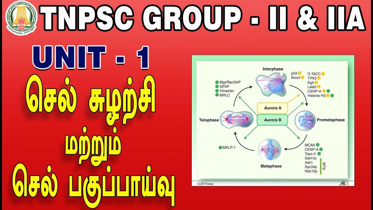 TNPSC GROUP - II & IIA | UNIT-1 |GENERAL SCIENCE PART 3 BOTH IN TAMIL & ENGLISH|CHENNAI IAS ACADEMY.