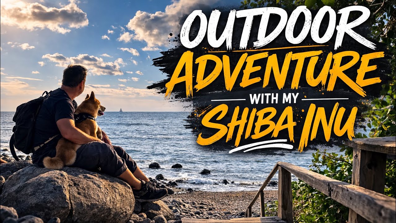 Outdoor - Adventure - Shiba Inu