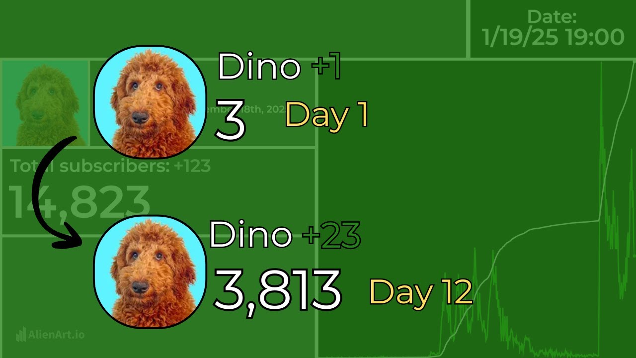 HOURLY Subscriber History of @dinoisadoodle From Day 1 to now!