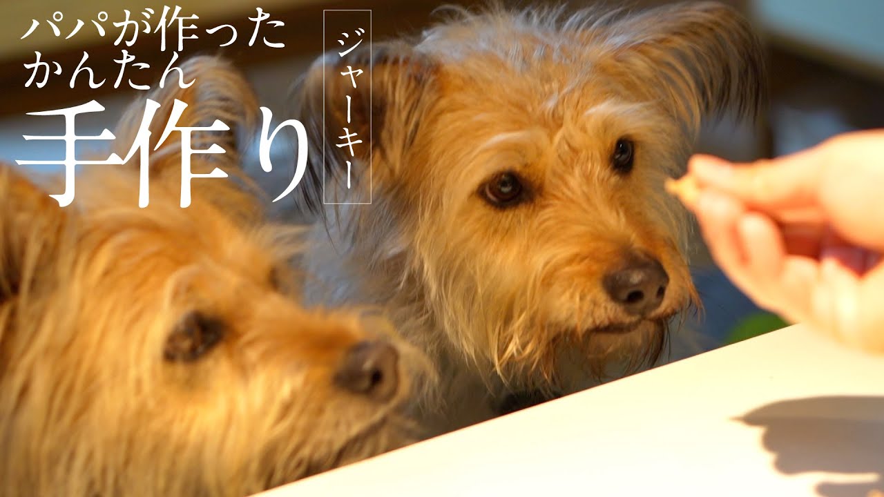 2021年がんばったパパが作ったかんたん「ごほうびジャーキー」