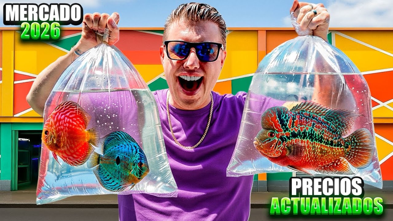 MERCADO de los PECES Morelos PRECIOS  2026