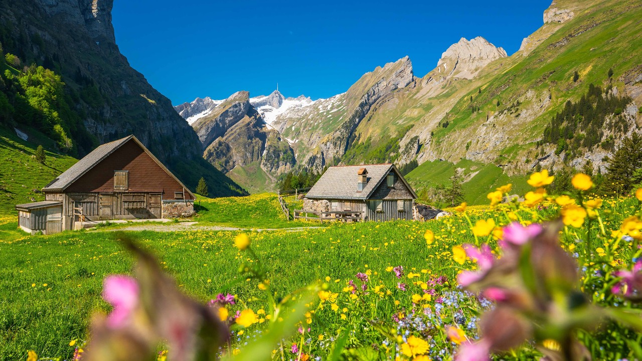 The year 2025 - the Best of May to August in Switzerland