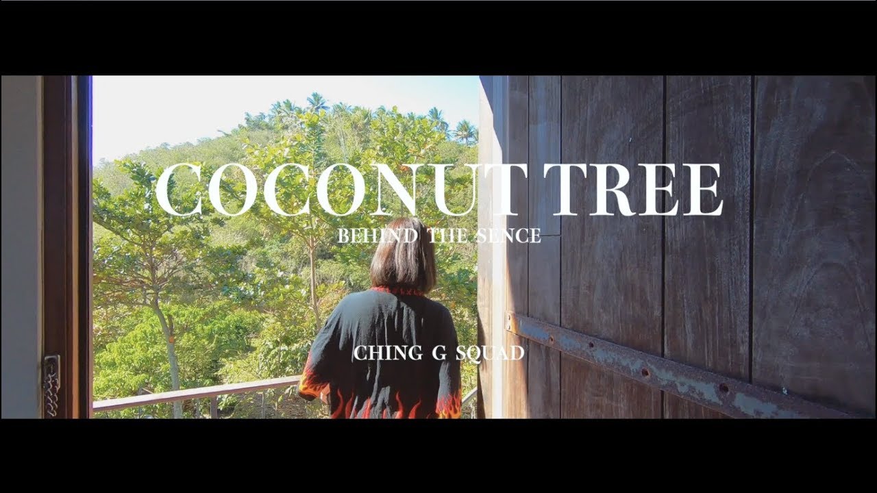 VLOG #1 Coconut Tree Behind The Scene