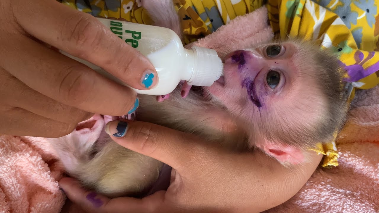 darling newborn, hurly drink milk with a small bottle in your hand, aunt