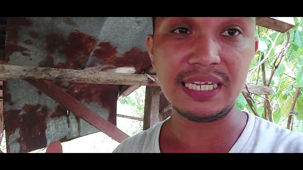 Mga problema at sulosyon sa Inahing Ayaw mag pa dede... @baboy