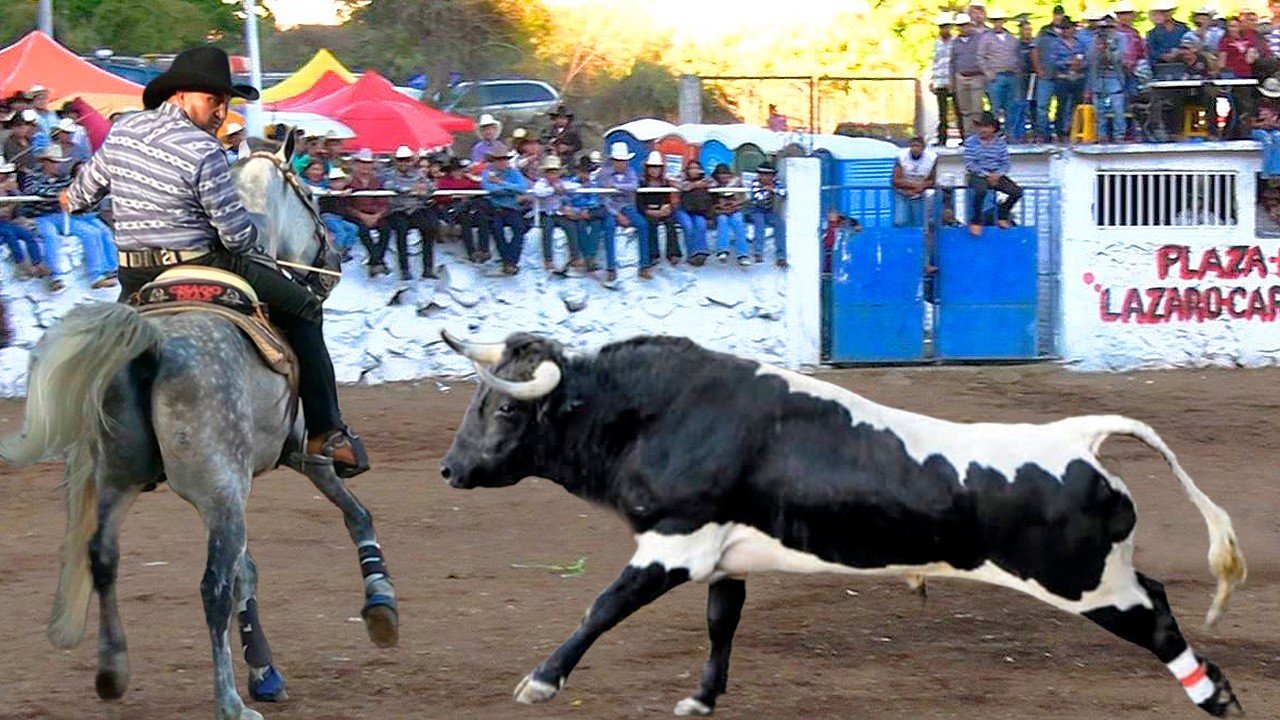 ¡¡UN SUPER JARIPEO DE TOROS BRAVOS BUSCA CABALLOS!! TENDEPARACUA MICHOACAN 26 ENERO 2026 CHAGO CHERO