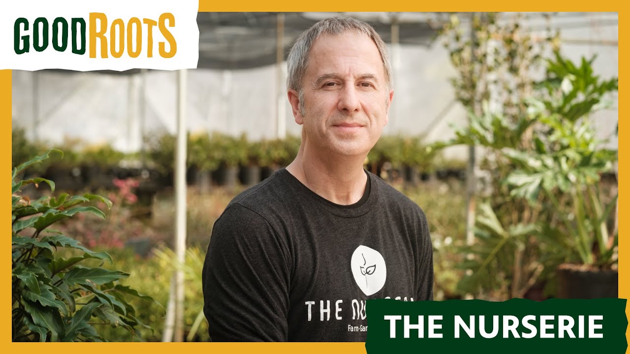 Good Roots: The Nurserie, Hydroponics in Arkansas