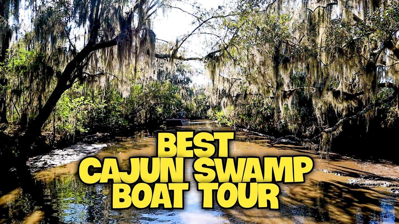The BEST Cajun Swamp Boat Tour in New Orleans | We Saw Alligators