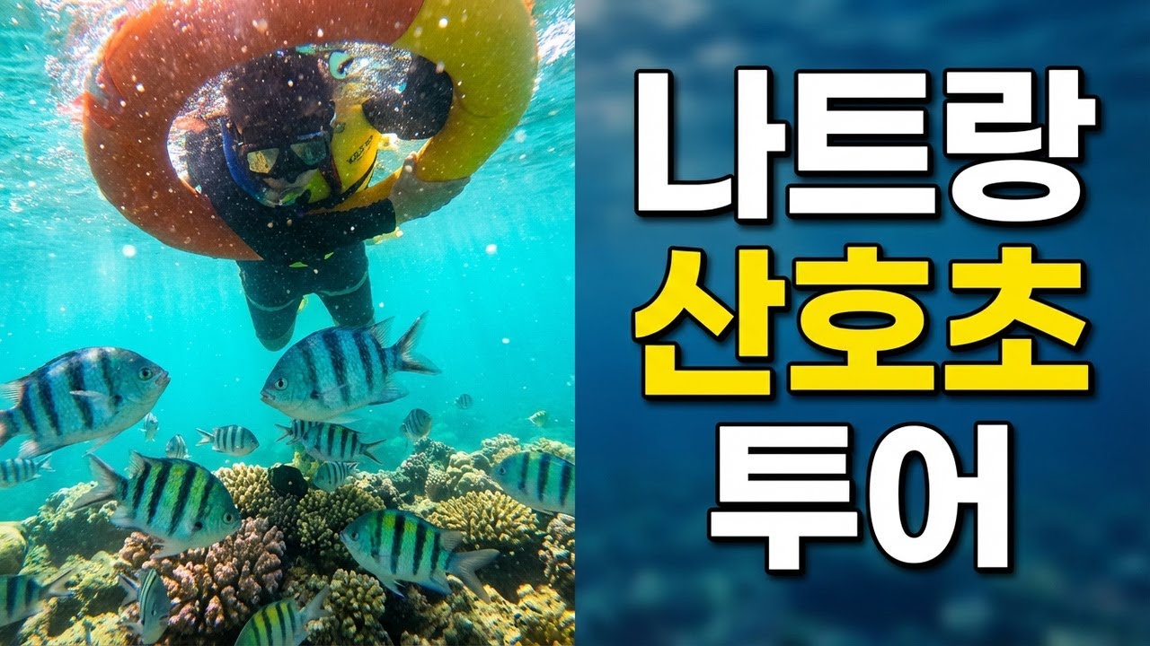 나트랑의 해변을 거닐며 산호초를 구경해 보세요.