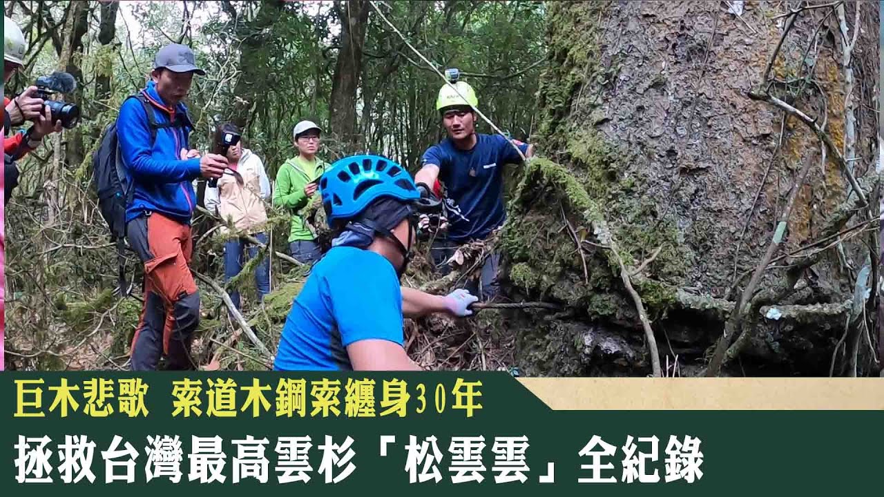 《新聞深呼吸》第170集-PART2索道木纏滿鋼索 「找樹的人」拯救台灣最高雲杉！