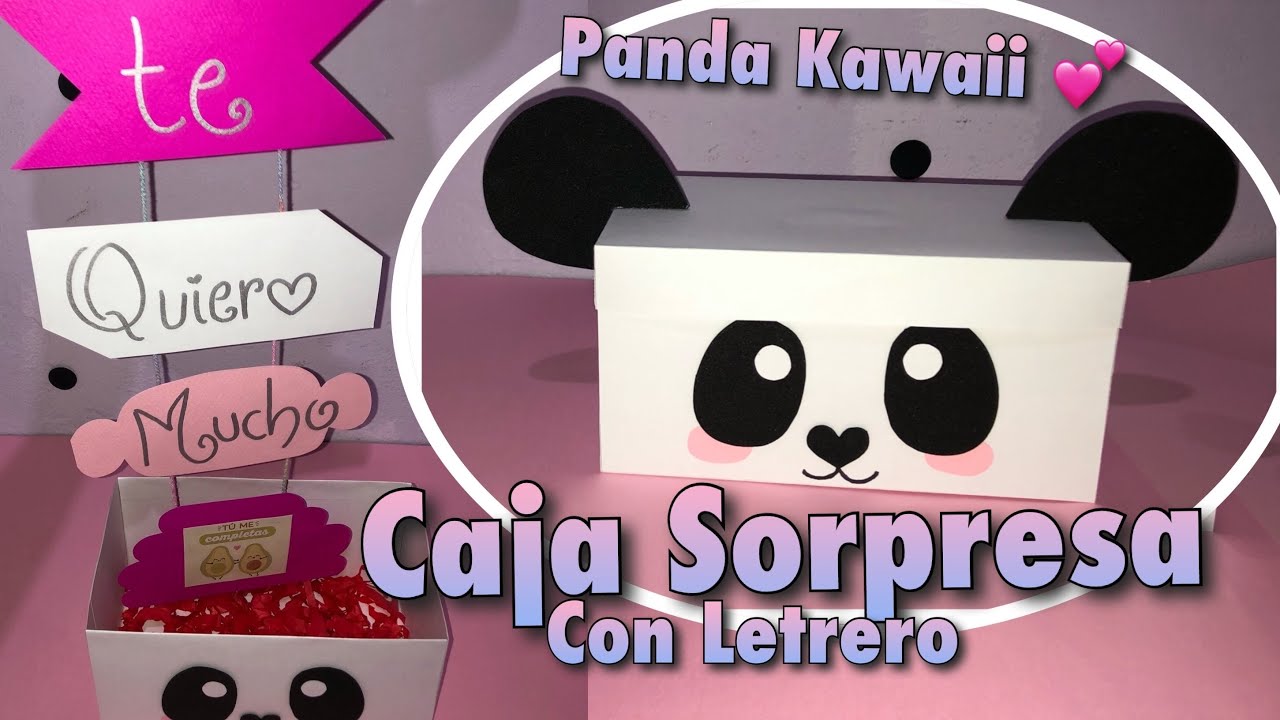 CAJA SORPRESA PANDA 🐼 KAWAII CON LETRERO/ SURPRISE BOX| Alee Fonseca