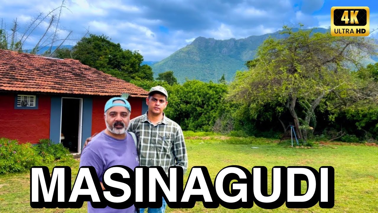 മസിനഗുഡിയിലെ കലക്കൻ Forest Stay | Masinagudi in 4K UHD