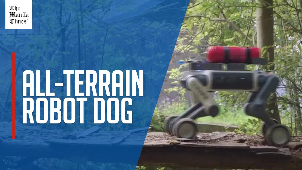 New robotic dog showcased at conference aims to tackle all-terrain environment