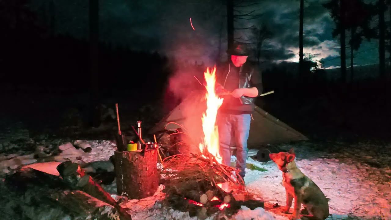 2 Days Extreme Winter Survival - Alone with My dog Togo - Fire Cooking in Freezing Wilderness