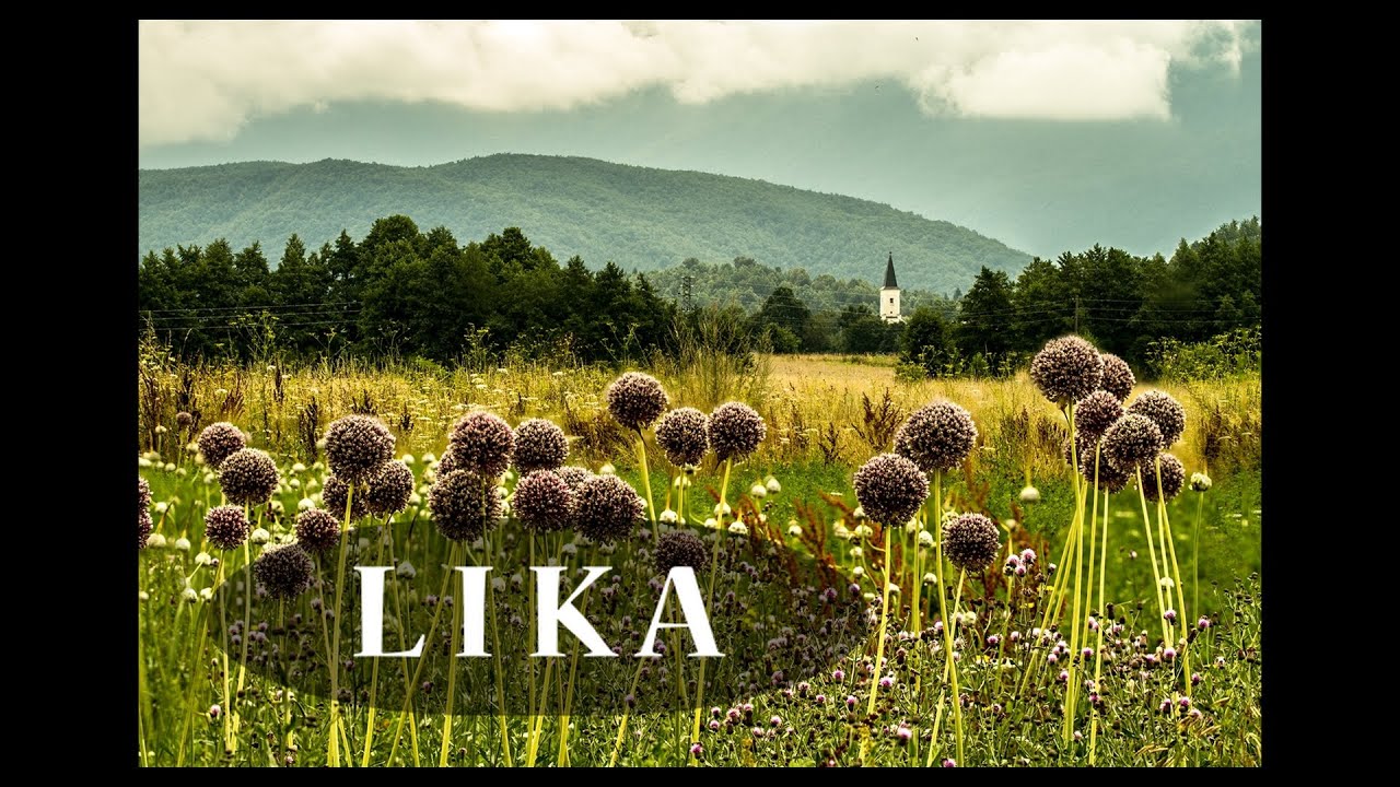 LIKA - Zoran Cikovac