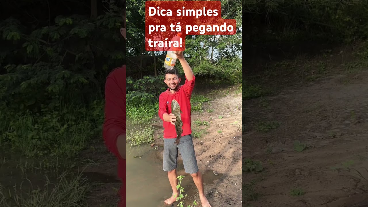 Simples dica pra t&aacute; pegando tra&iacute;ras com garrafas pet!#dica #traira#pescaria#lago#iscas