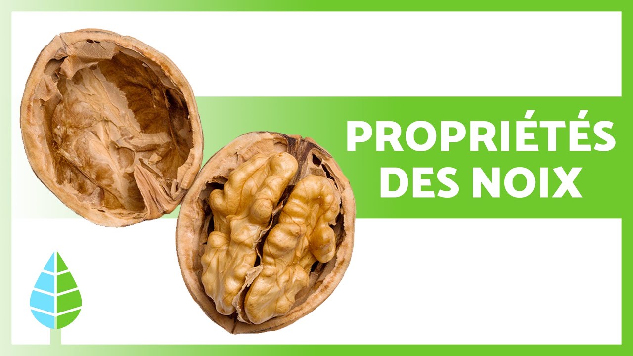 BIENFAITS des NOIX 🥜 (Propri&eacute;t&eacute;s m&eacute;dicinales, comment en manger et contre-indications)