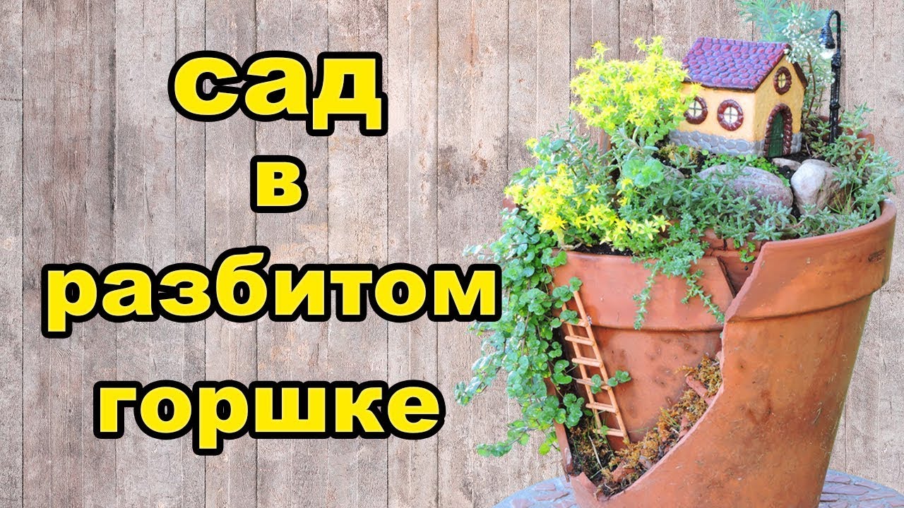 Сад в разбитом горшке своими руками. Вариант для дачи.