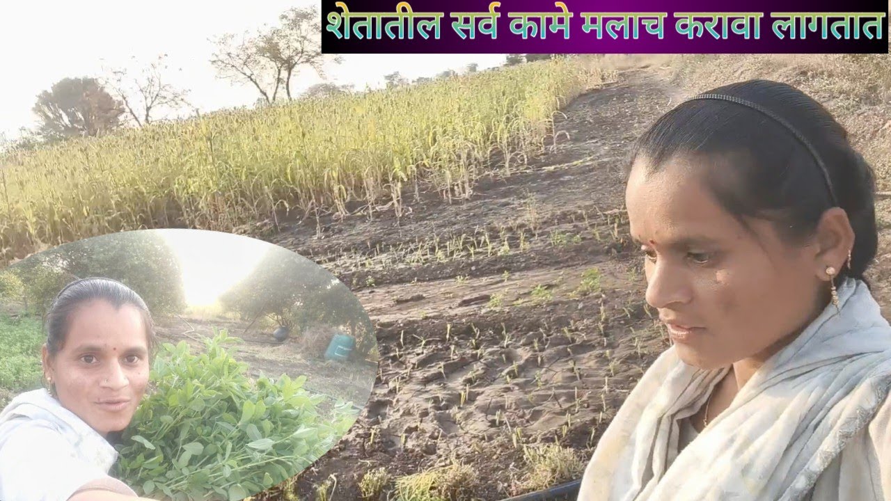 शेतातील सर्व कामे मलाच करावा लागतात 👆
