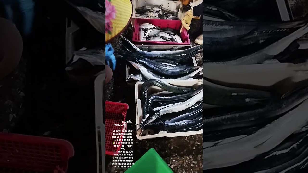 lại l&agrave; em đ&acirc;y.3h s&aacute;ng ở cảng Hới c&oacute; g&igrave;? Theo ch&acirc;n nh&agrave; em đi săn h&agrave;ng tươi! 😍