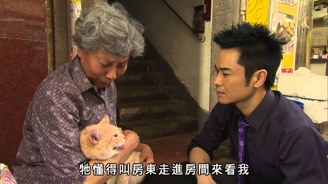 《天眼》精華片段 14