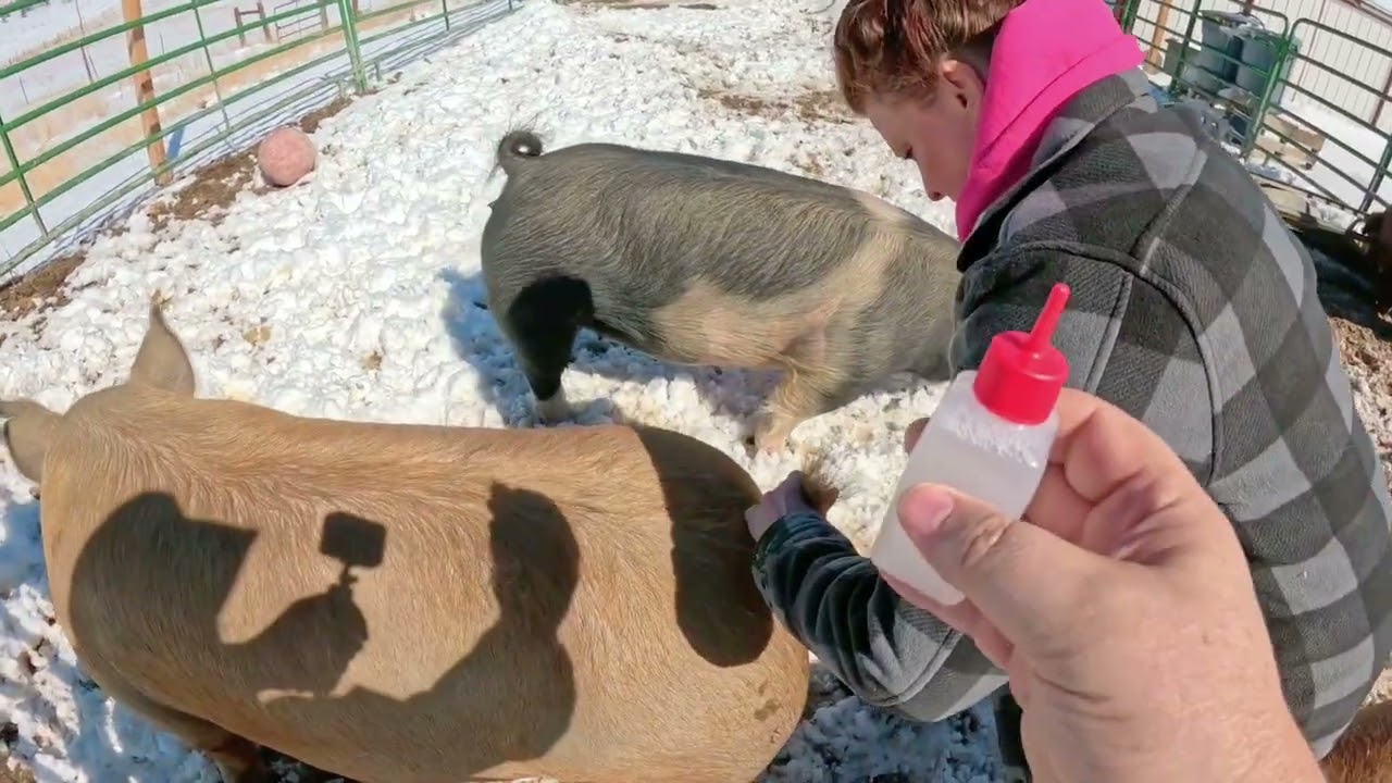 Our First Breeding Session with Tammy