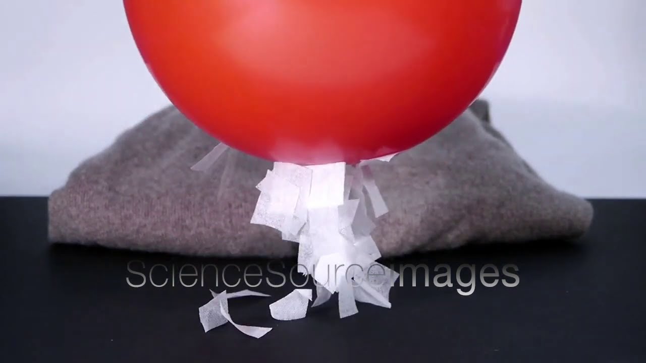 Demonstration of Static Electricity, a Balloon rubbed on a Wool Sweater Picks up Paper