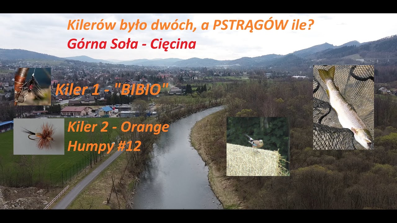 WM#3 G&oacute;rna Soła odc.1, Wędkarstwo Muchowe, Raport Ichtiolog&oacute;w