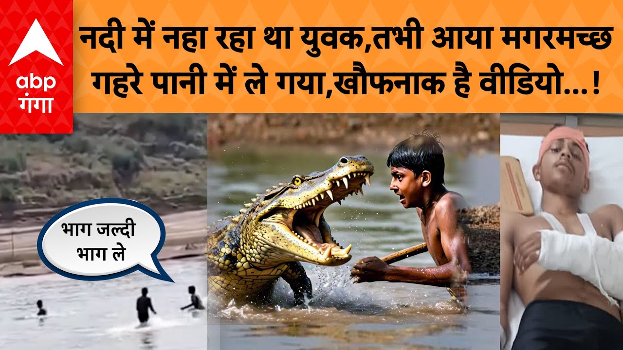 Agra crocodile  Attack: नदी में नहा रहा था युवक,तभी आया मगरमच्छ गहरे पानी में ले गया,खौफनाक वीडियो!