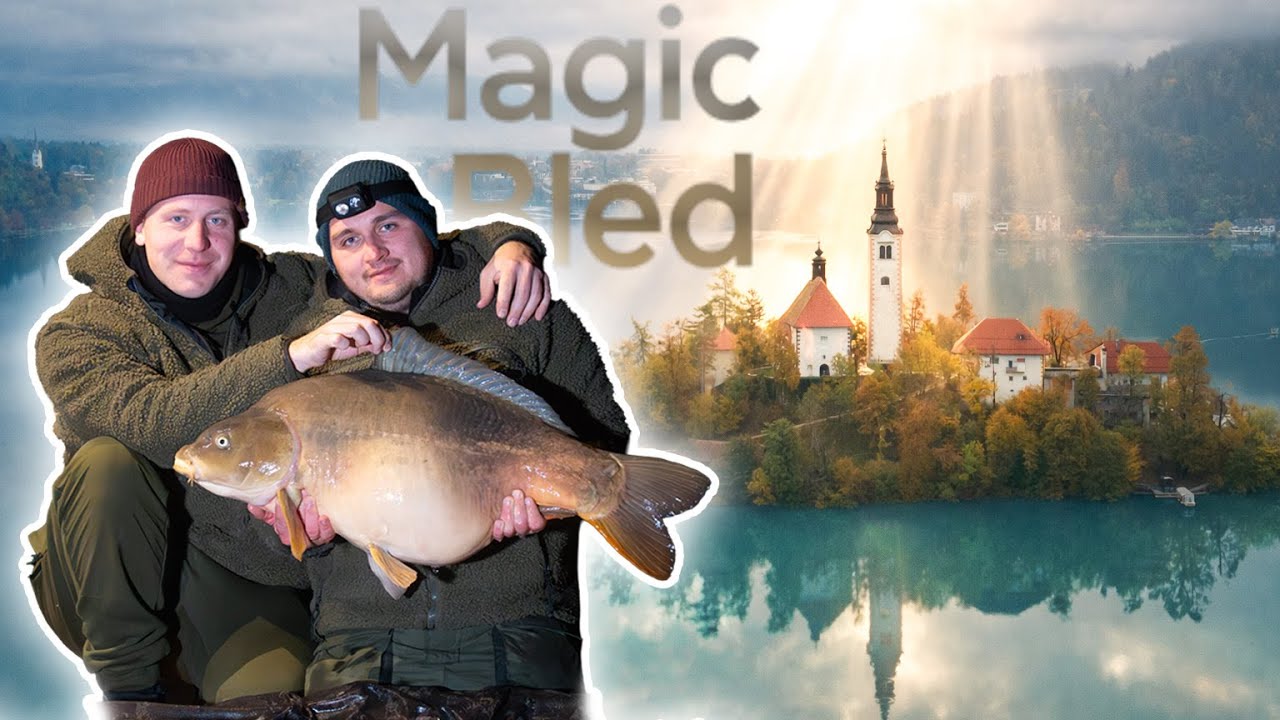Bleder See | Karpfenangeln in Slowenien Lake Bled