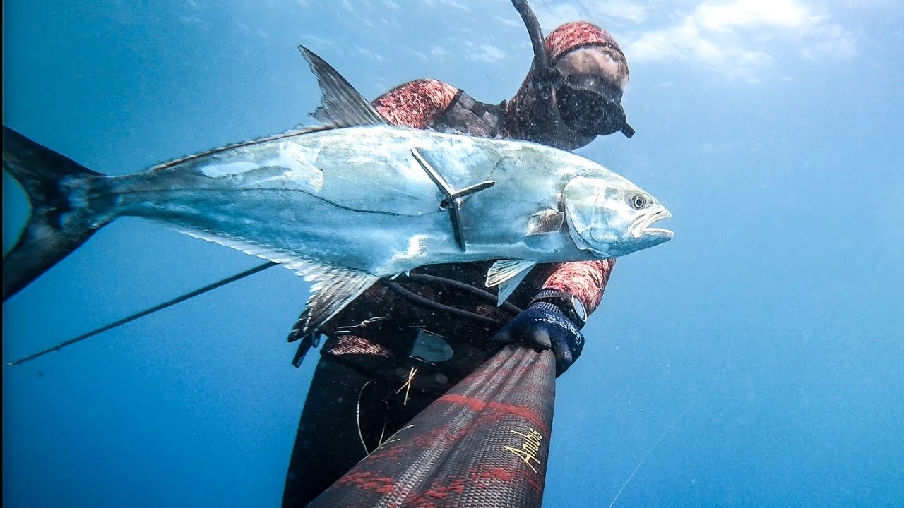 Spearfishing Croatia: Beautiful days