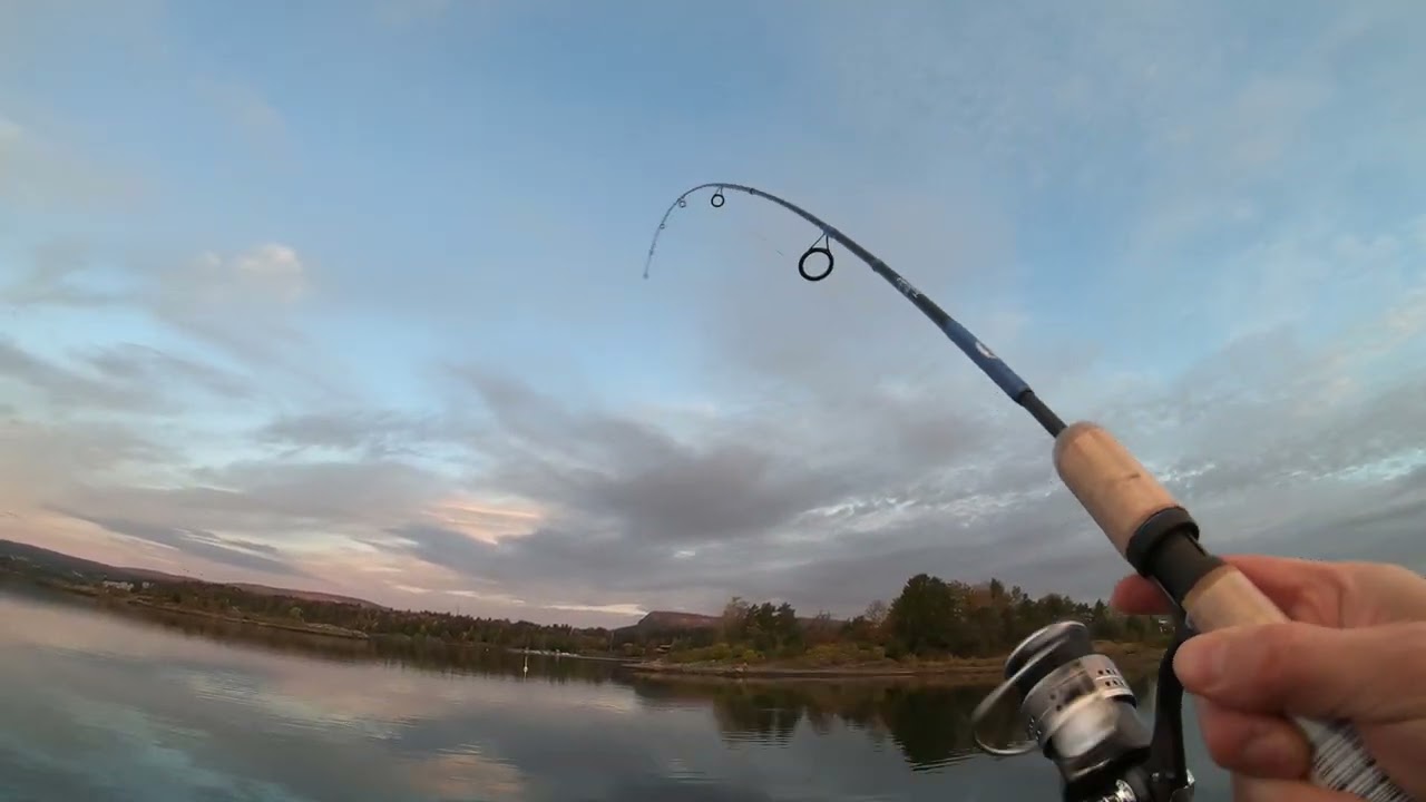 Shore spinning for mackerel