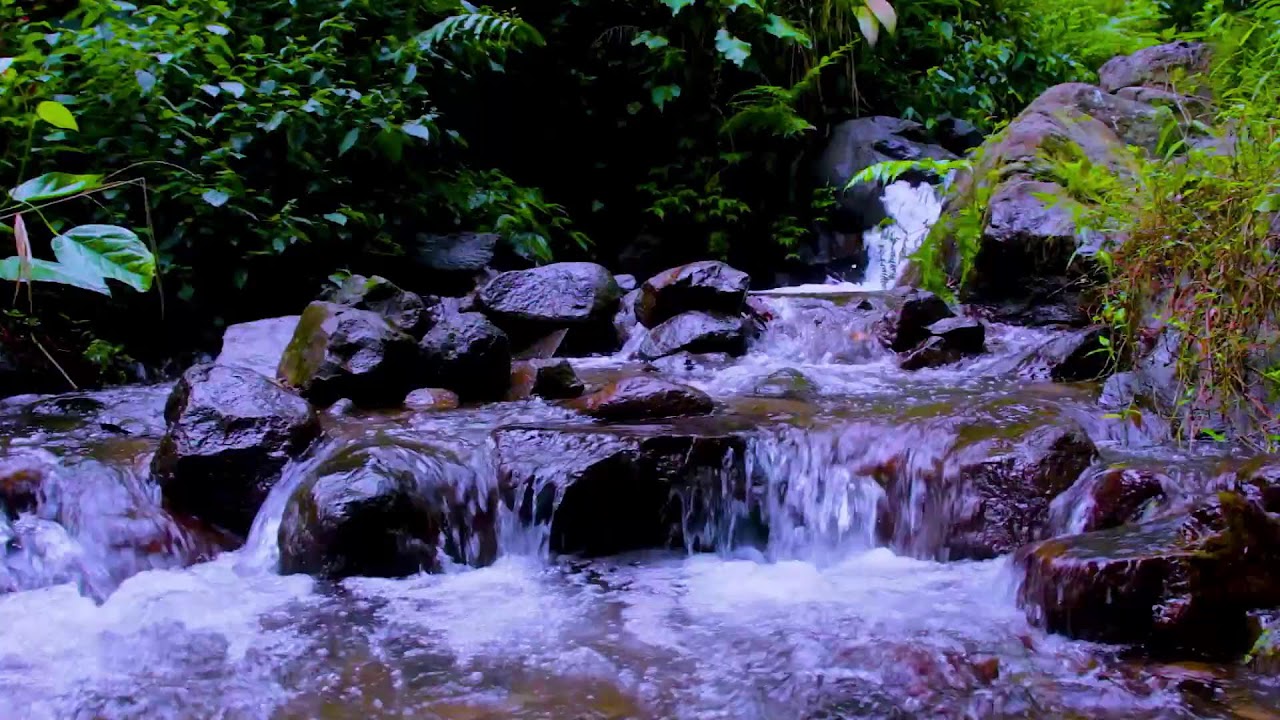Mountain River Flow Sounds for Long Focus Sessions and Mental Clarity