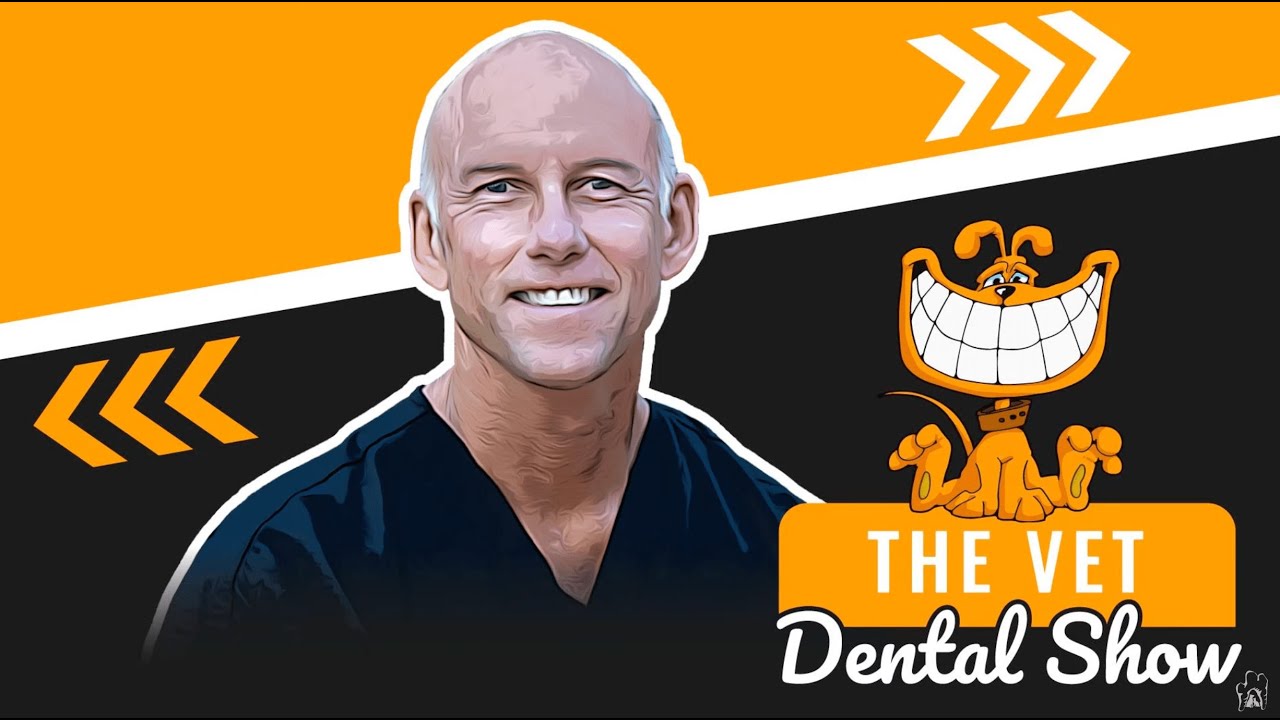 Episode 185 - Nerve Blocks, Anesthesia, and Pain Management in Veterinary Dentistry