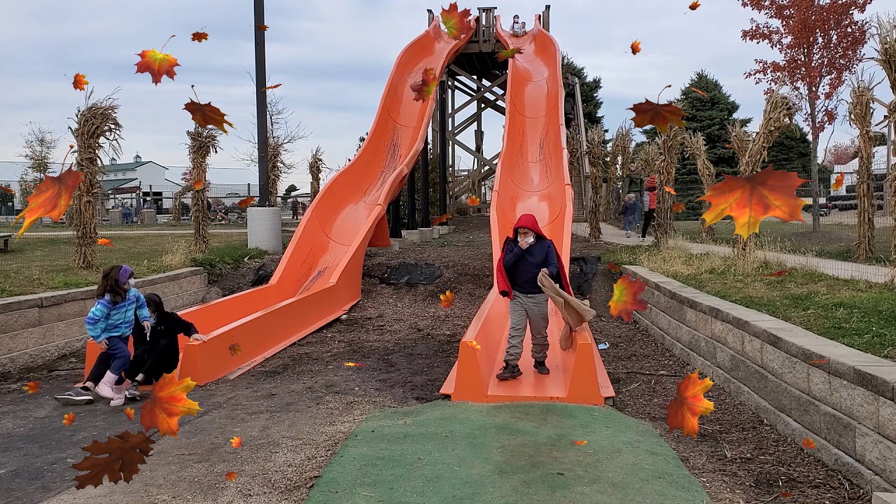 Goebberts Pumpkin Patch #videomaker #artistscorner