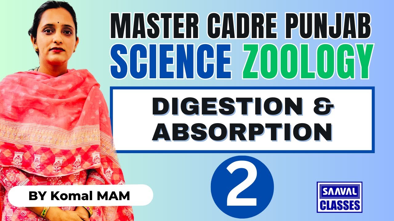 Lec-2 Zoology Topic: Digestion & Absorption Master Cadre Science, Punjab | SAAVAL CLASSES, Abohar |
