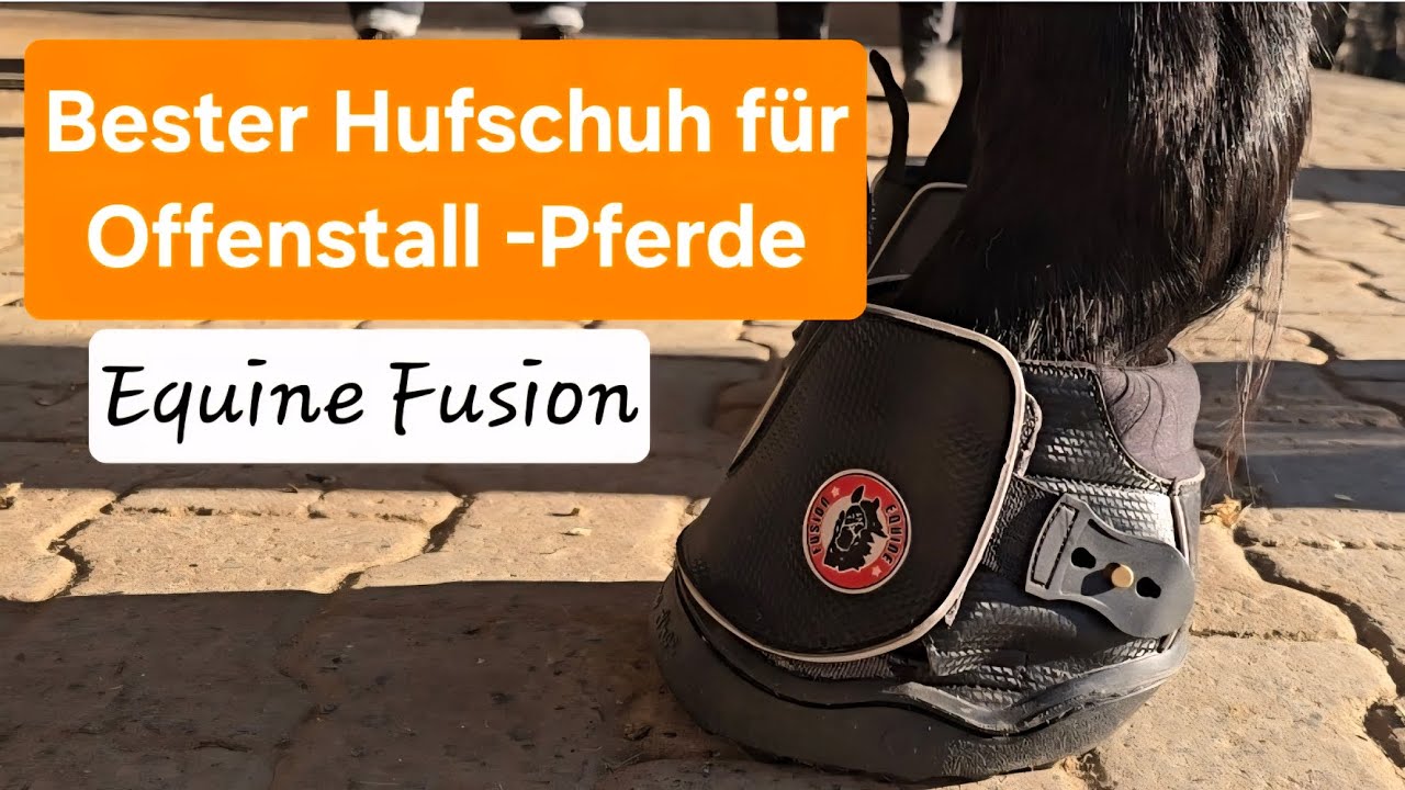 Bester Hufschuh für den Offenstall - bei Barhuf oder Hufverletzungen -Equine Fusion 