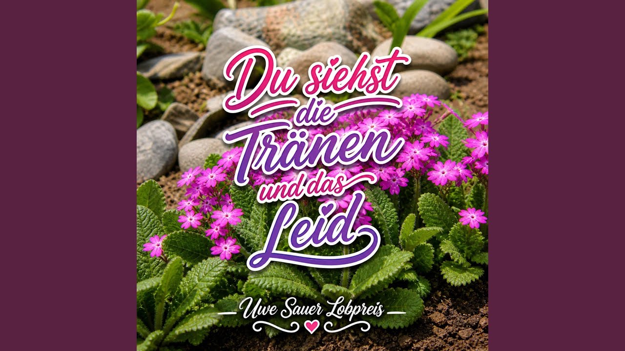 Du siehst die Tränen und das Leid