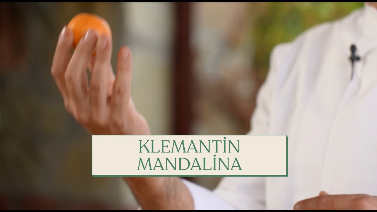 Şef Mehmet Ali B&ouml;rt&uuml;cene ile Klemantin Mandalina Tadımı...