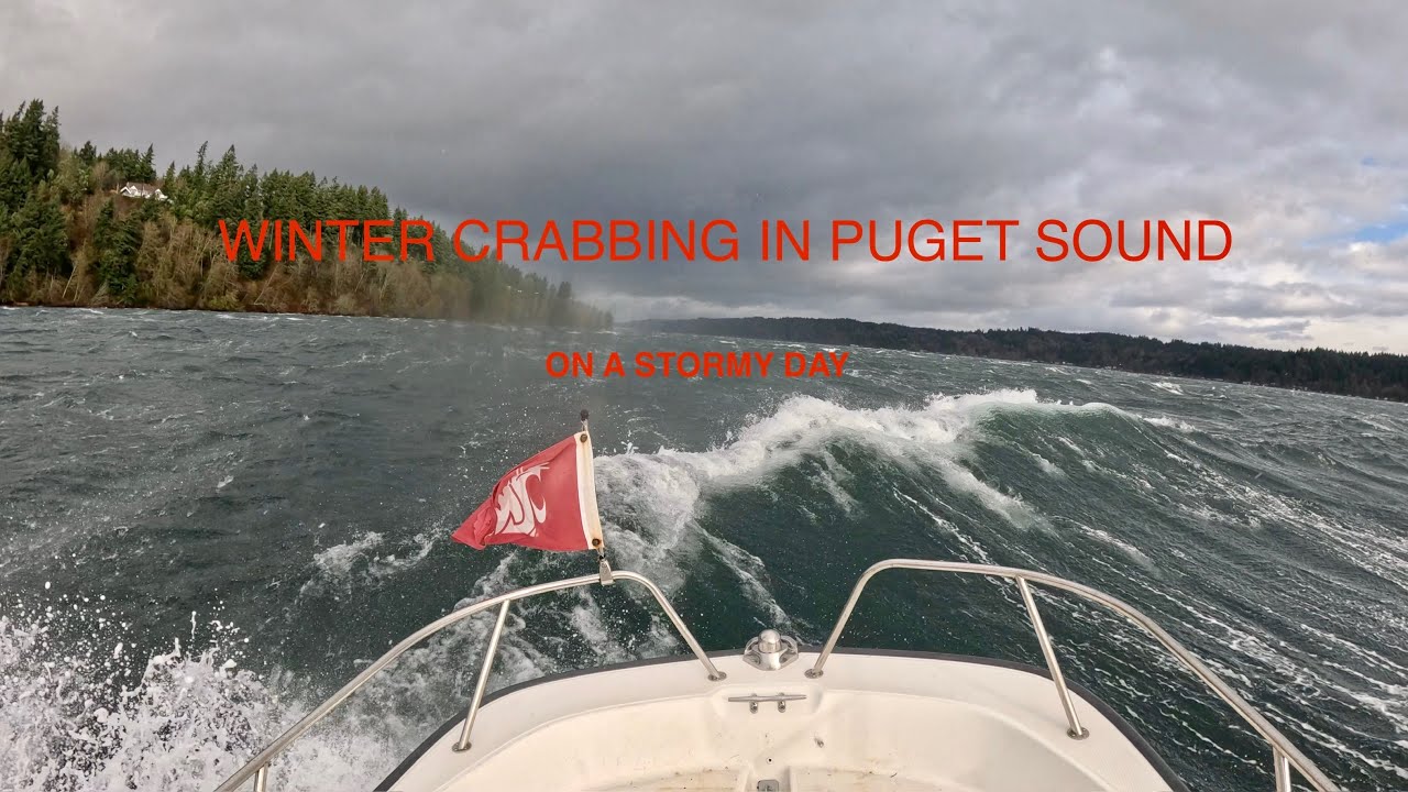 15&rsquo; Boston Whaler Stormy Day Crabbing session in Puget Sound