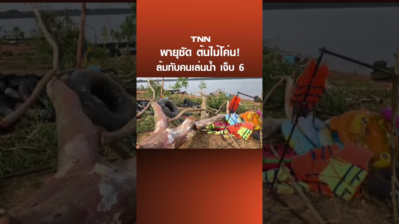 พายุซัด ต้นไม้โค่น! ล้มทับคนเล่นน้ำ เจ็บ 6 | TNN ข่าวดึก | 15 เม.ย. 69