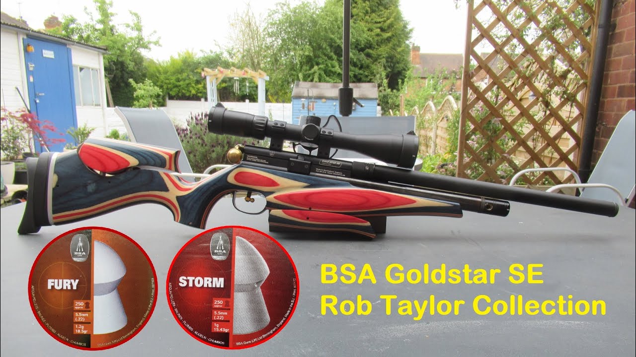 The BSA Goldstar SE  22  from the  Rob Taylor collection