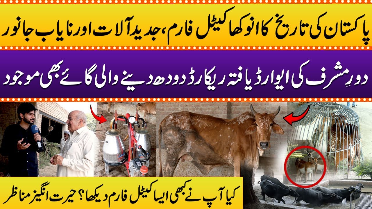 Pakistan Ka Sabse Modern Cattle Farm 🐄 | Rare Janwar aur High-Tech System 😲 | Must Watch! | Samaa TV