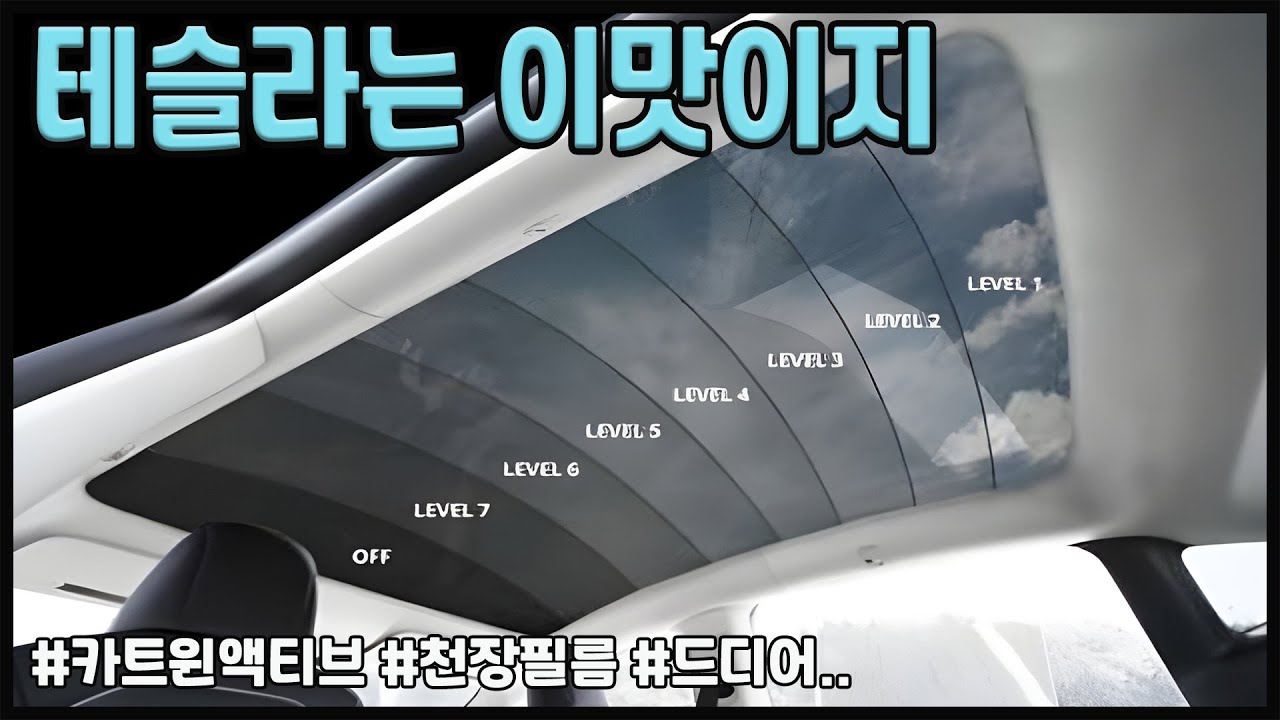테슬라 주니퍼 칼트윈 액티브 /tesla/juniper/대구/두친구영삼이