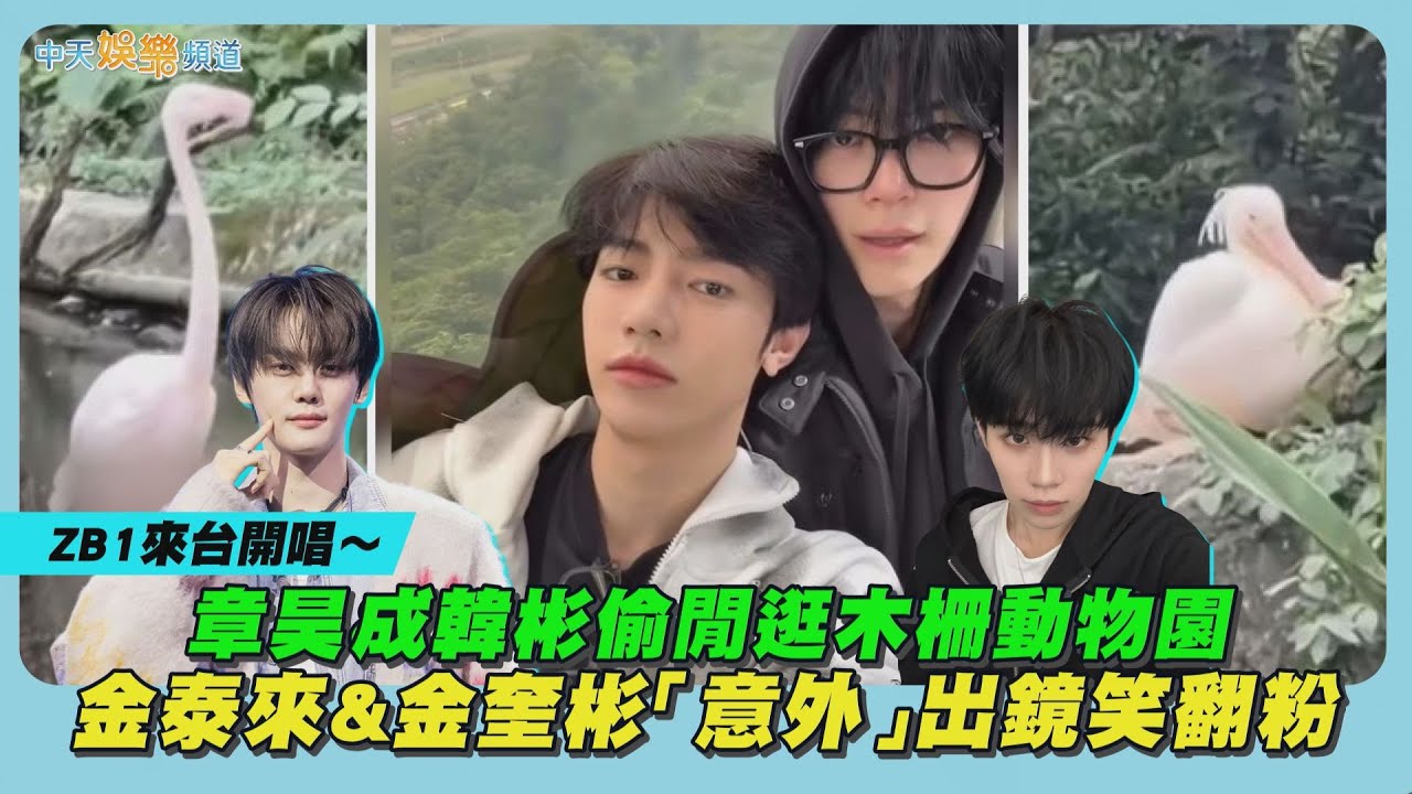 【撩星聞】ZB1來台開唱～ 章昊&成韓彬偷閒逛木柵動物園　金泰來&金奎彬「意外」出鏡笑翻粉