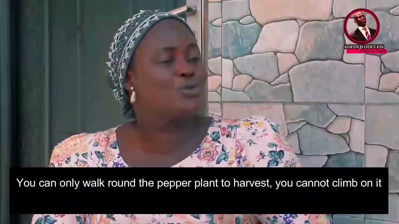 Beautiful Yoruba woman with full tribal marks speaks Igbo language flawlessly.