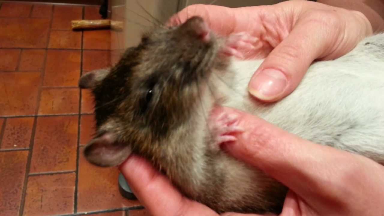 20130216 0114131