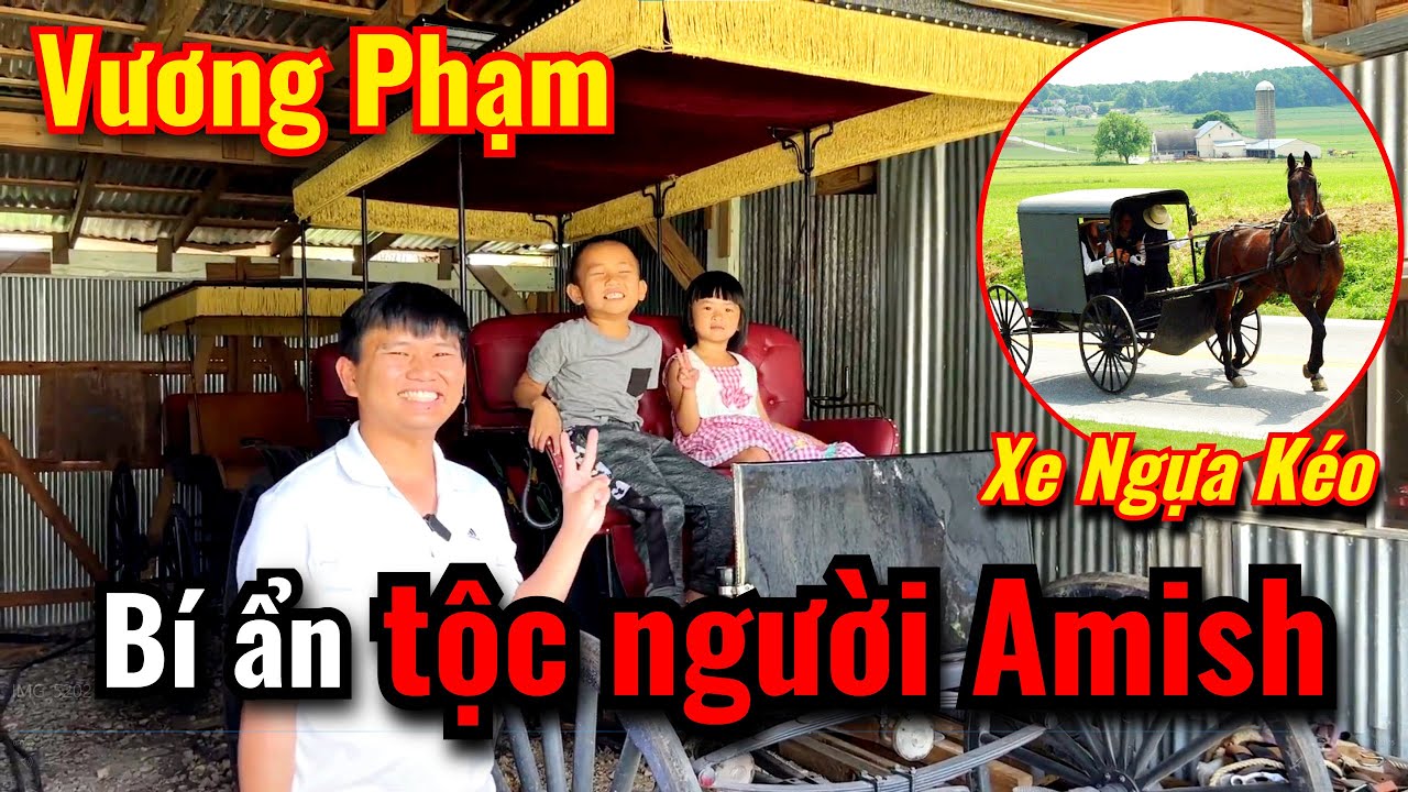 Vương Phạm Mua Chiếc Xe Ngựa Kéo Được Làm Thủ Công Của Tộc Người Amish Ở TEXAS, Cuộc Sống Mỹ